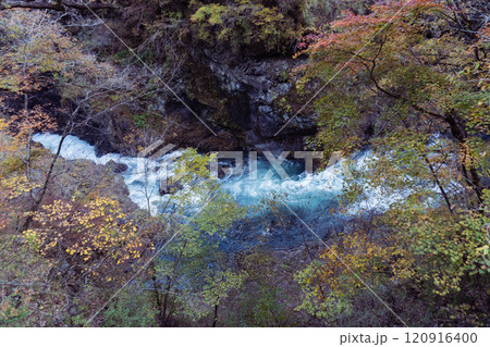 群馬県/吾妻峡の国道から見下ろす秋の渓谷 群馬県/吾妻峡の国道から見下ろす秋の渓谷 120916400