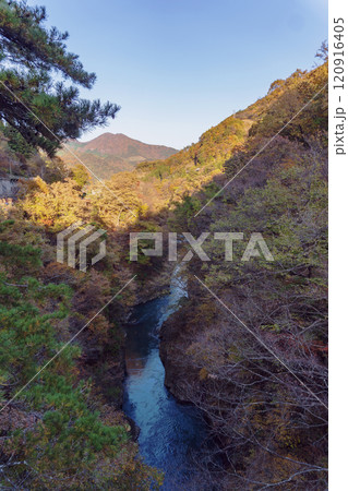 群馬県/吾妻渓谷と秋の紅葉/猿橋からの景色 群馬県/吾妻渓谷と秋の紅葉/猿橋からの景色 120916405