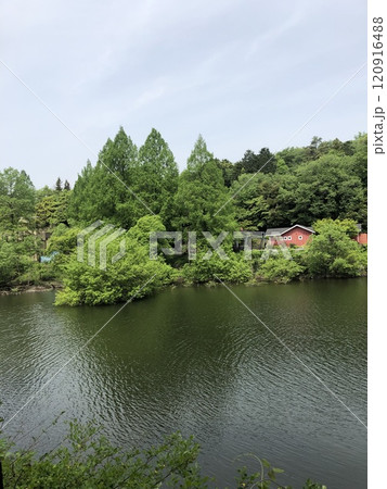 池のある風景 池のある風景 120916488