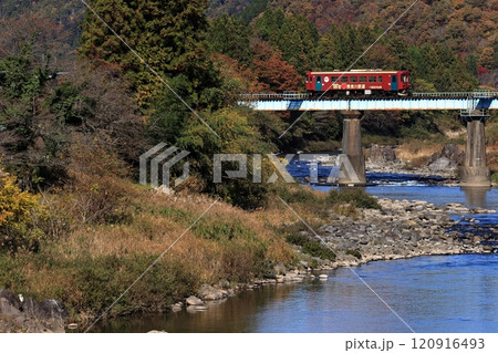 秋の長良川と長良川鉄道 秋の長良川と長良川鉄道 120916493