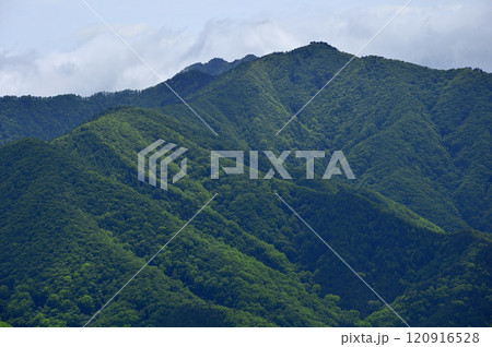 御坂山地の釈迦ヶ岳山頂より 新緑の雪頭ヶ岳、鬼ヶ岳、節刀ヶ岳を望む 御坂山地の釈迦ヶ岳山頂より 新緑の雪頭ヶ岳、鬼ヶ岳、節刀ヶ岳を望む 120916528