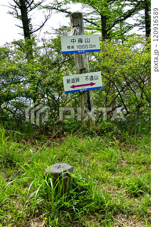 春の御坂山地　新緑の中藤山山頂 120916589