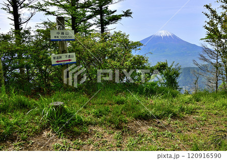 春の御坂山地　中藤山山頂より望む富士山 120916590