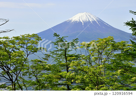 春の御坂山地 新緑の中藤山より望む富士山 春の御坂山地 新緑の中藤山より望む富士山 120916594