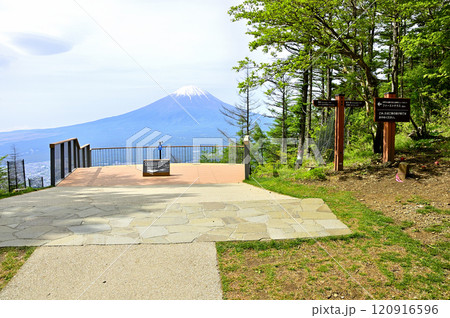 春の御坂山地 新道峠 FUJIYAMAツインテラスのセカンドテラスより望む富士山 春の御坂山地 新道峠 FUJIYAMAツインテラスのセカンドテラスより望む富士山 120916596