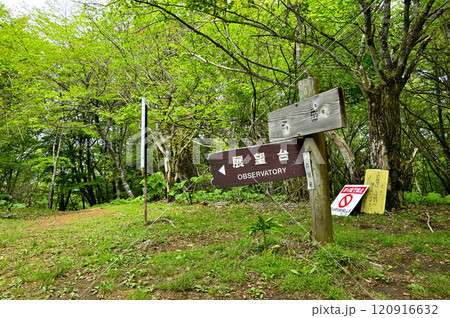 春の御坂山地　日本三百名山の黒岳山頂 120916632