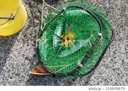 小魚釣り アバウキで水面から20cm沈めるスカリ 小魚釣り アバウキで水面から20cm沈めるスカリ 120916679