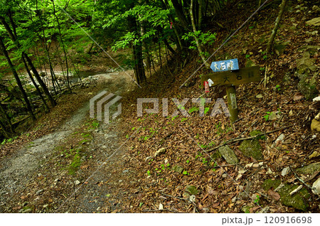 御坂山地　笛吹市の大石峠登山口の林道 120916698
