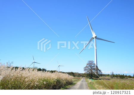 郡山布引風の高原　2024-10-3　＃50 120917321