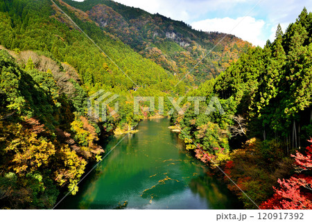紅葉の奥多摩 渓谷と白丸湖の風景 120917392