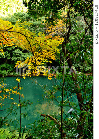 紅葉の奥多摩 渓谷と白丸湖の風景 120917419