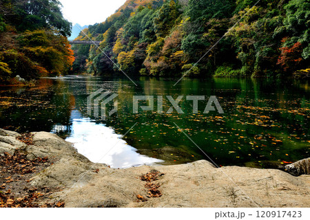 紅葉の奥多摩 渓谷と白丸湖の風景 120917423