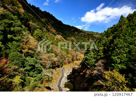紅葉の奥多摩 渓谷と白丸湖の風景 120917467