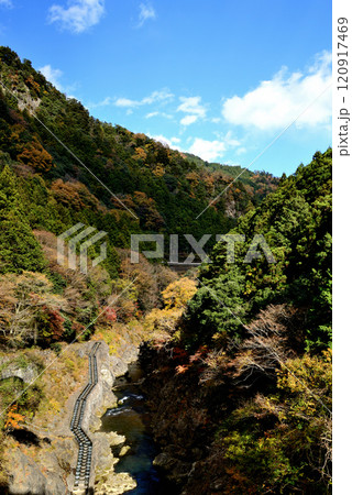 紅葉の奥多摩 渓谷と白丸湖の風景 120917469