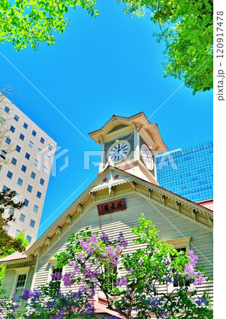 札幌市時計台とライラックの花 札幌市時計台とライラックの花 120917478
