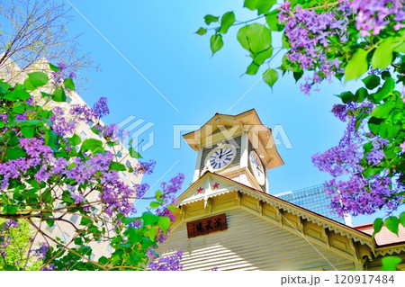 札幌市時計台とライラックの花 120917484