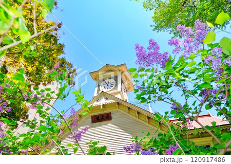 札幌市時計台とライラックの花 120917486