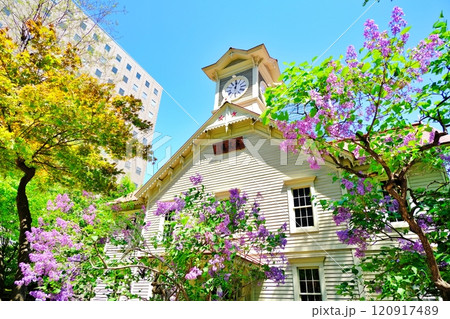 札幌市時計台とライラックの花 120917489