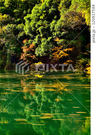 紅葉の奥多摩 渓谷と白丸湖の風景 長秒撮影 紅葉の奥多摩 渓谷と白丸湖の風景 長秒撮影 120917589