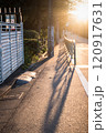 夕方の歩道と長い影 120917631