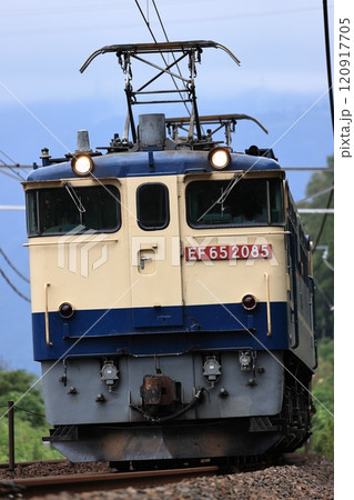 東海道線を走るEF65貨物列車 120917705