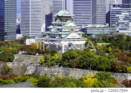 大阪城天守閣と立ち並ぶ高層ビル群（大阪府大阪市） 120917894