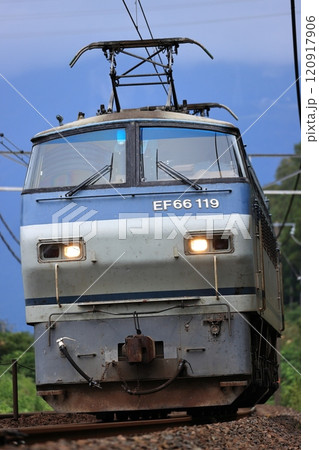 東海道線を走るEF66貨物列車 120917906