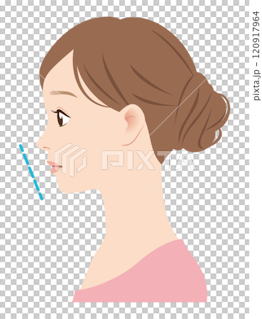 理想的 E 型線輪廓 理想的 E 型線輪廓 120917964