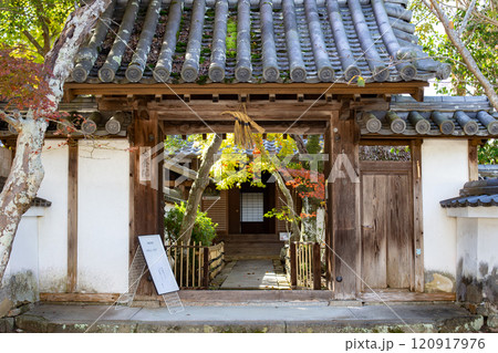秋の神戸・太山寺・安養院の門 秋の神戸・太山寺・安養院の門 120917976