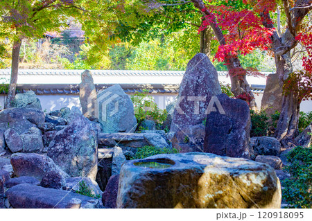 秋の神戸・太山寺・安養院の枯山水庭園 秋の神戸・太山寺・安養院の枯山水庭園 120918095