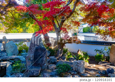 秋の神戸・太山寺・安養院の枯山水庭園 秋の神戸・太山寺・安養院の枯山水庭園 120918101