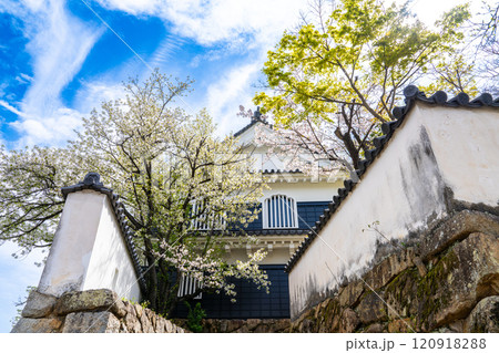 【日本100名城】岡山城　塩蔵と桜3　岡山県岡山市北区 120918288