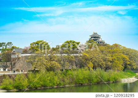 【日本100名城】岡山城 岡山城と春の旭川4 岡山県岡山市北区 【日本100名城】岡山城 岡山城と春の旭川4 岡山県岡山市北区 120918295