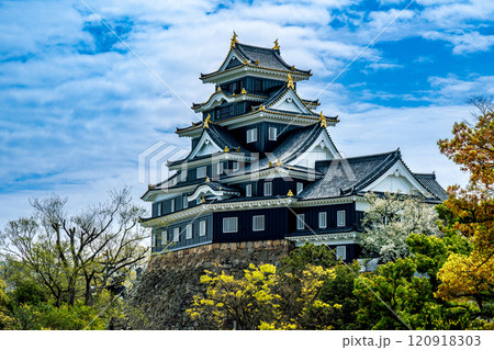【日本100名城】岡山城 天守と春の空3 岡山県岡山市北区 【日本100名城】岡山城 天守と春の空3 岡山県岡山市北区 120918303