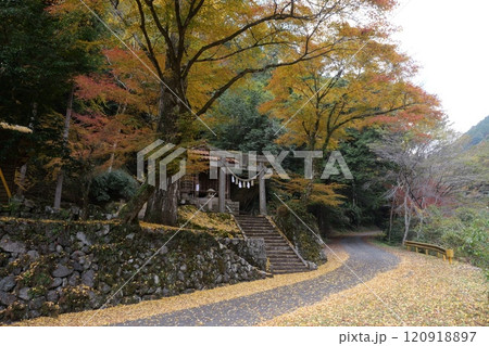 木谷峡の紅葉 木谷峡の紅葉 120918897