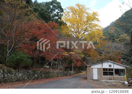 木谷峡の紅葉 木谷峡の紅葉 120918898