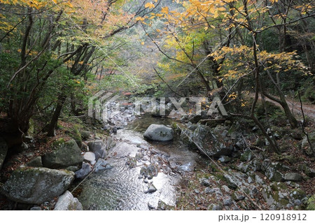 木谷峡の紅葉 木谷峡の紅葉 120918912