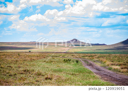 Maasai Mara National Game Reserve Park Savannah Grassland Great rift valley wilderness nature fauna wild wildlife Narok County Kenya East Africa landscapes safaris travels discover trees road sky epic 120919051