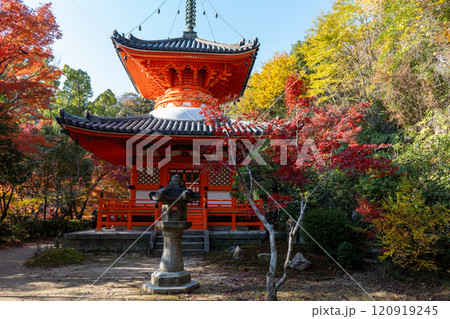 三滝寺の紅葉 120919245