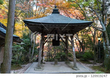 三滝寺の紅葉 120919247