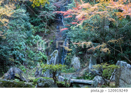 三滝寺の紅葉 三滝寺の紅葉 120919249