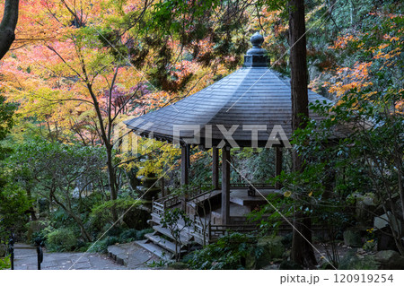 三滝寺の紅葉 120919254