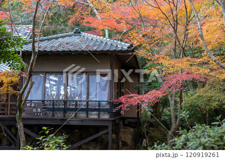 三滝寺の紅葉 120919261