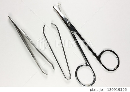 ハサミと毛抜き ハサミと毛抜き 120919396