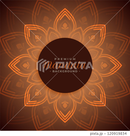 ornamental beautiful mandala background design 120919834