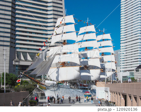 帆船日本丸 文化の日の総帆展帆 　都市景観（2024年11月） 120920136