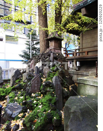 西大久保富士 西大久保富士 120920229