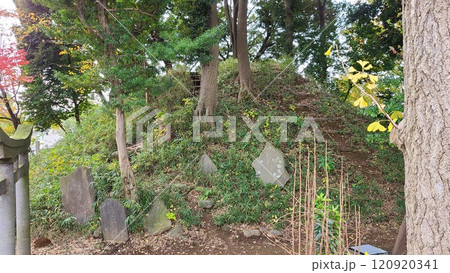 木曽呂の富士塚 木曽呂の富士塚 120920341