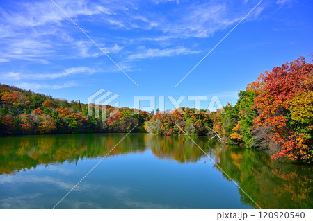 高山の池と紅葉 120920540