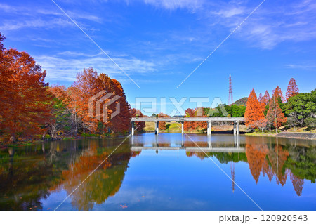 播磨中央公園 120920543